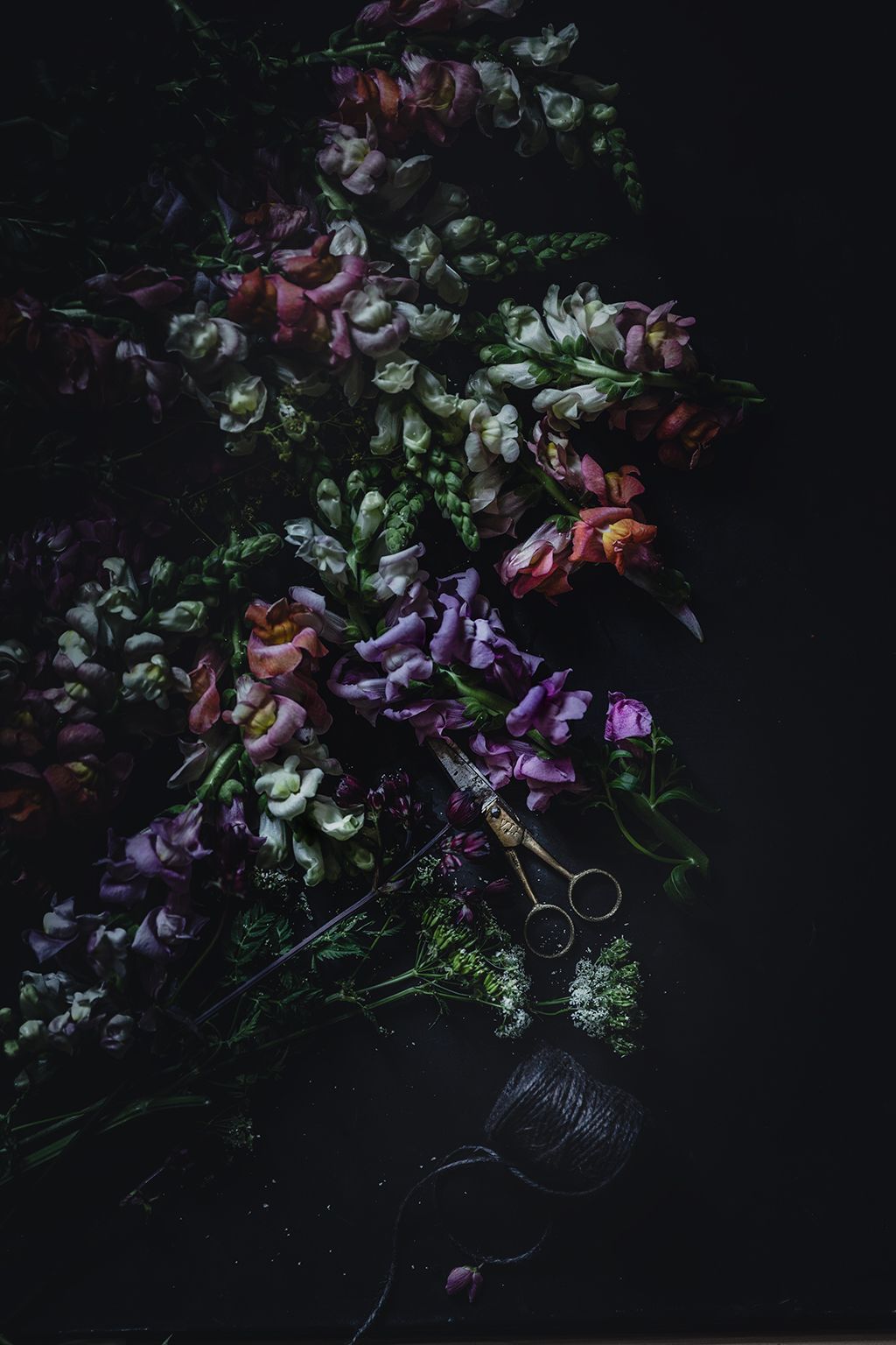 Dark & Moody Flowers by Christina Greve