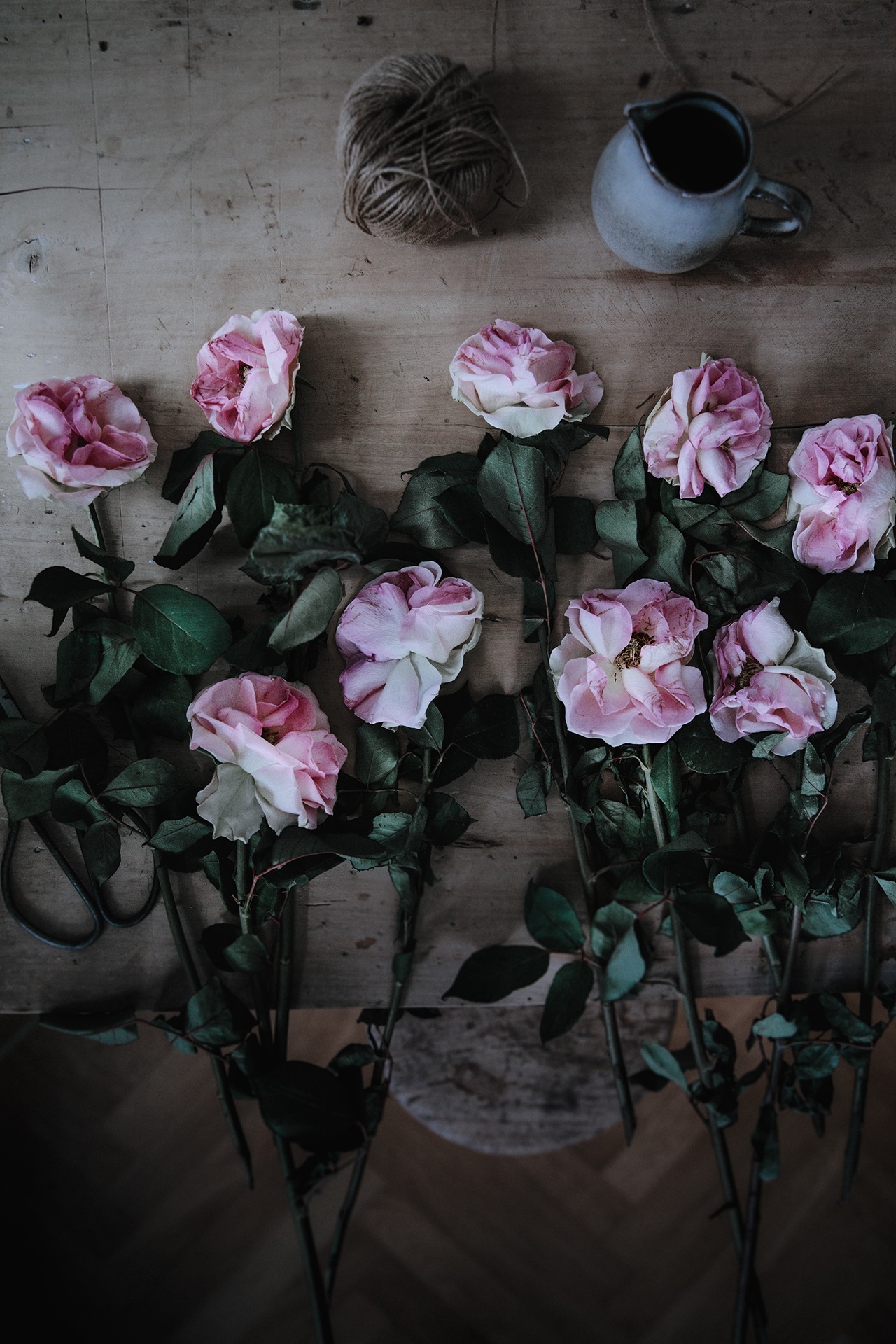 Dark & Moody Flowers by Christina Greve