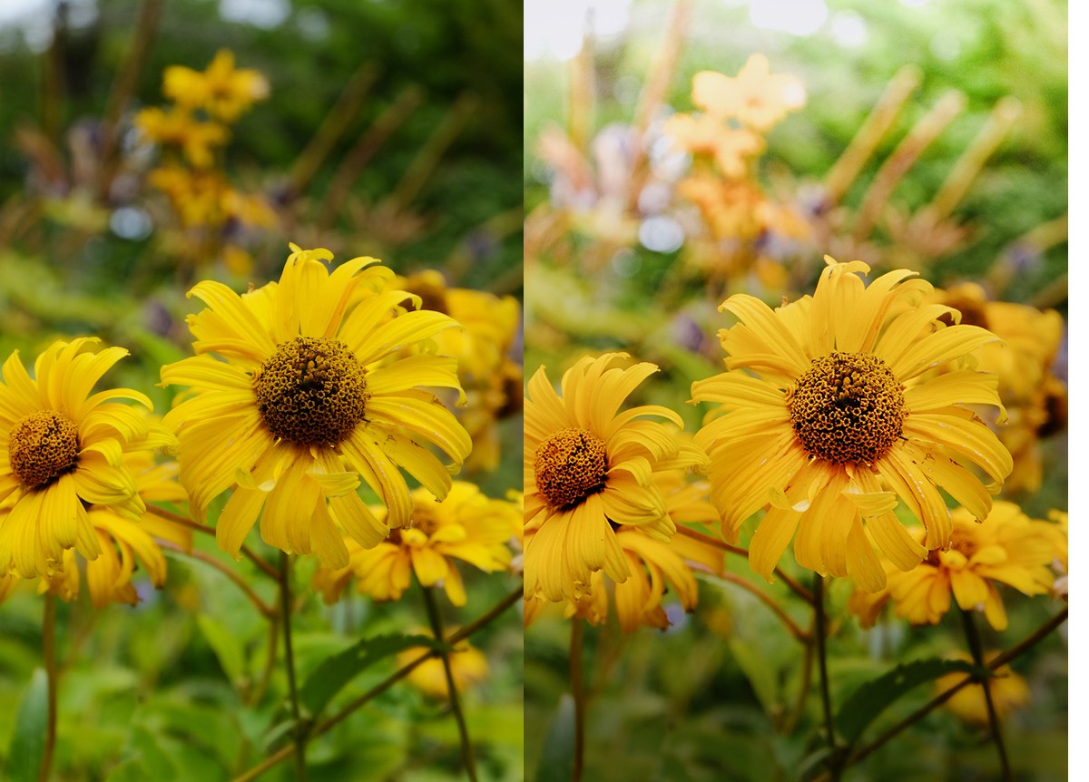 Fujifilm XM1 Ten Year Anniversary Review Is It Still Worth Buying